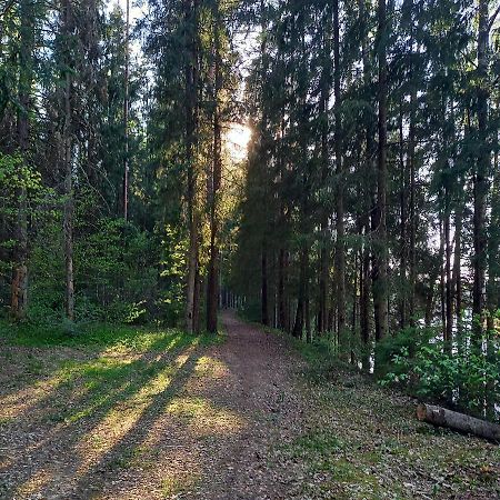 Apartament Ozolu Gatve 2- No Cesim 7 Km Jānamuiža Zewnętrze zdjęcie