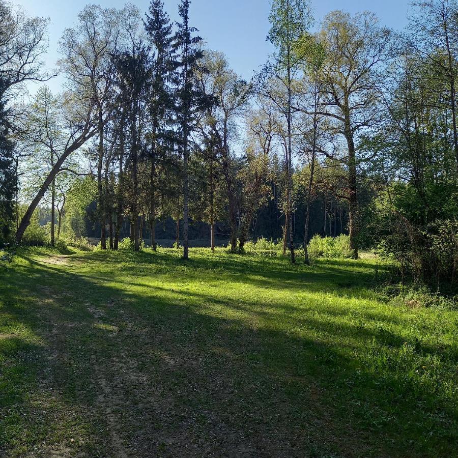 Apartament Ozolu Gatve 2- No Cesim 7 Km Jānamuiža Zewnętrze zdjęcie